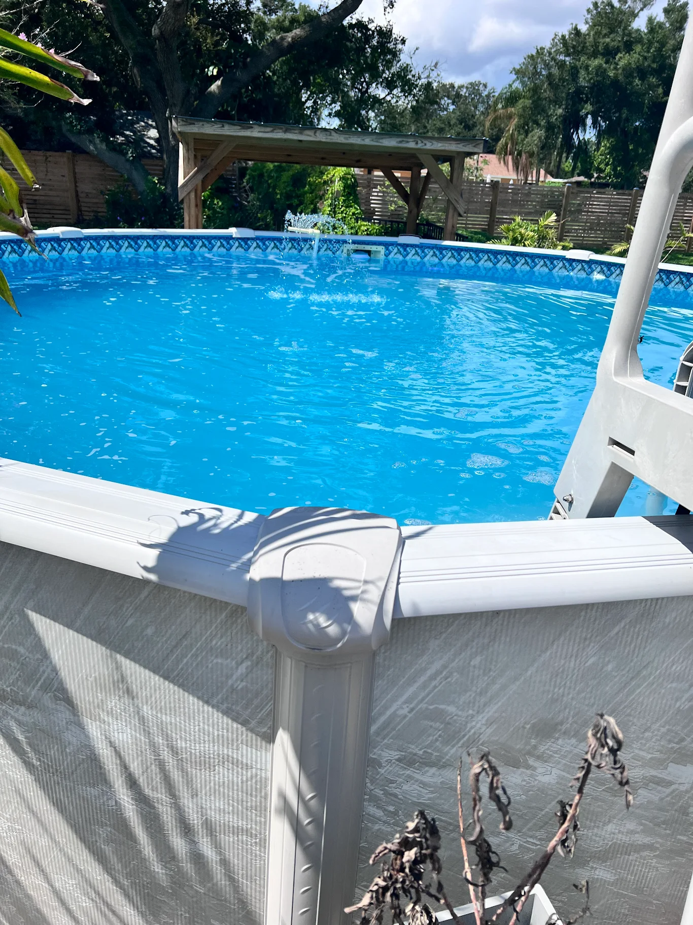 Pool cleaning - Grecia Corredor