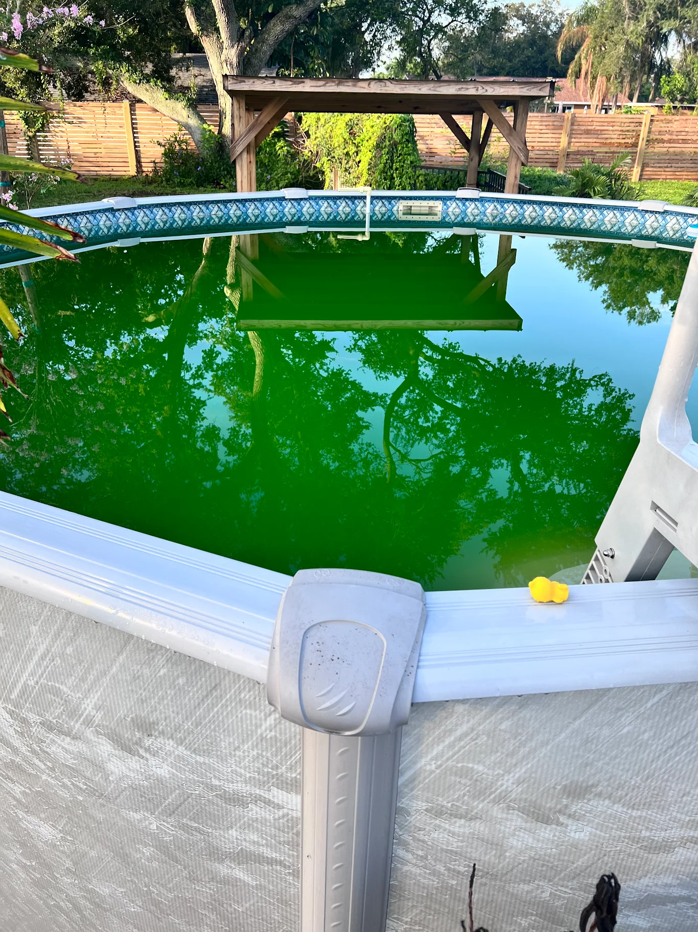 Pool cleaning - Grecia Corredor